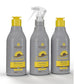 Professional Sunflower Cauterization Argan Keratin Treatment 3x500ml
